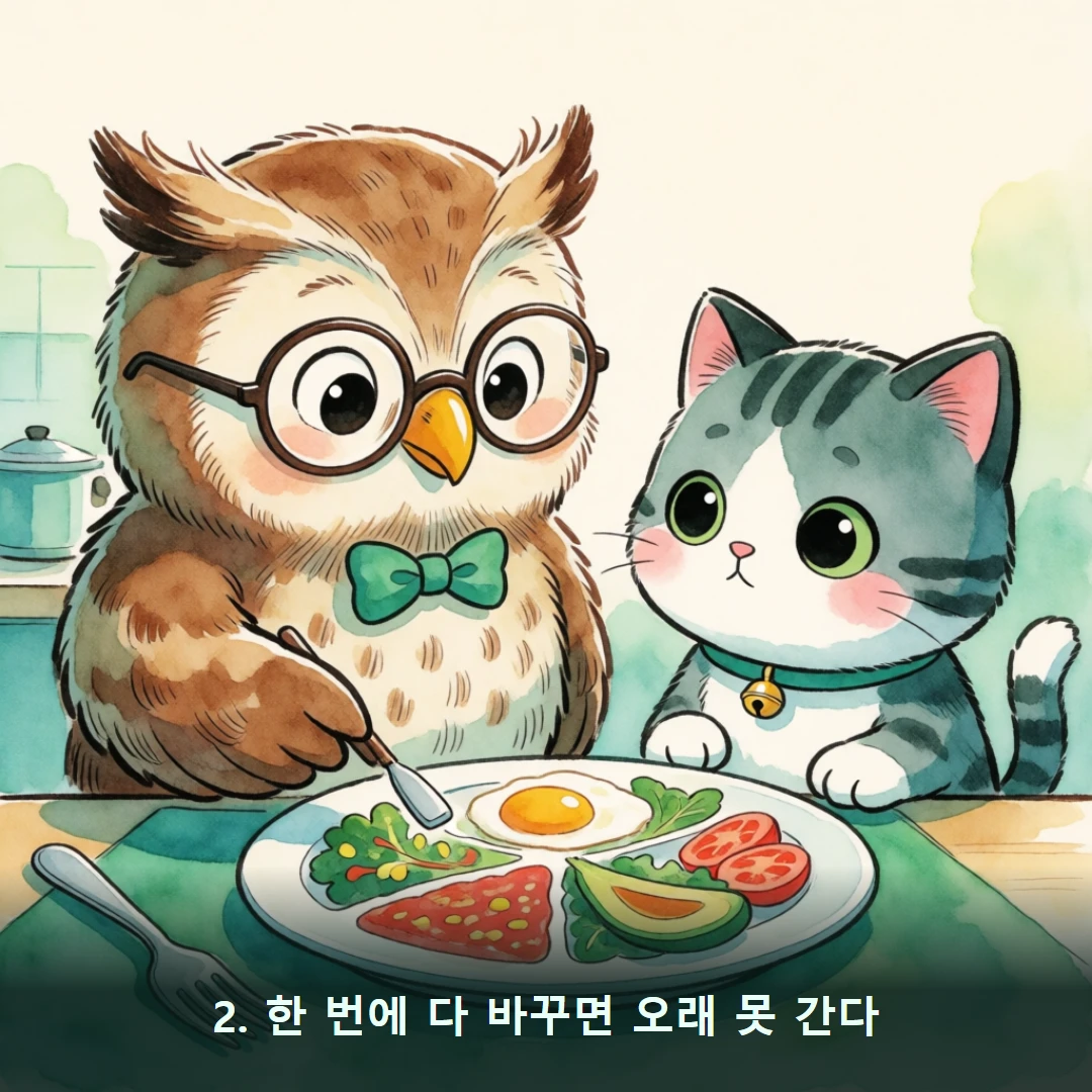 웹툰 2컷 — 2. 한 번에 다 바꾸면 오래 못 간다