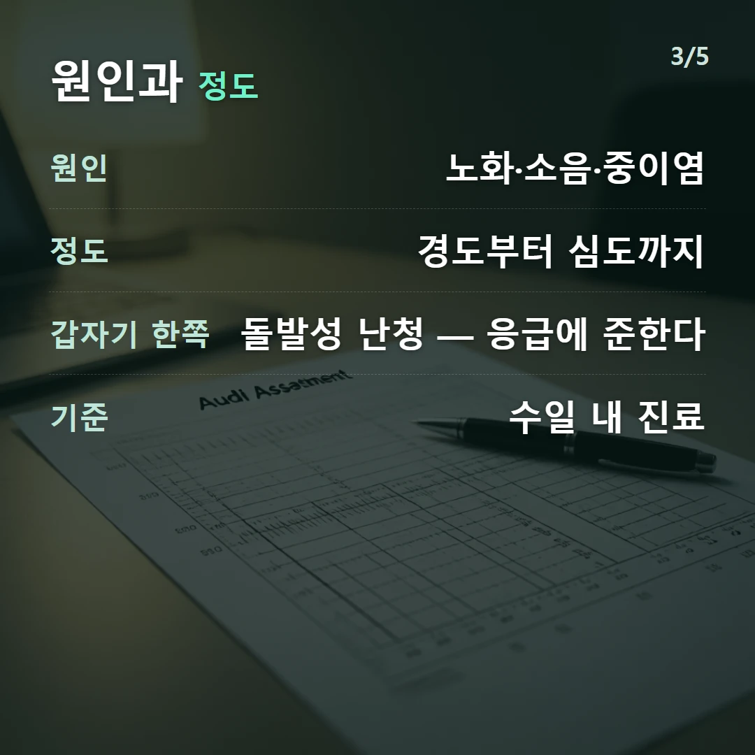 원인과 정도 — 원인 노화·소음·중이염, 정도 경도부터 심도까지, 갑자기 한쪽 돌발성 난청 — 응급에 준한다, 기준 수일 내 진료