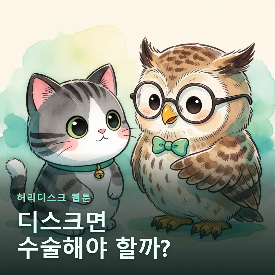 허리디스크 웹툰 표지 — 디스크면 수술해야 할까?