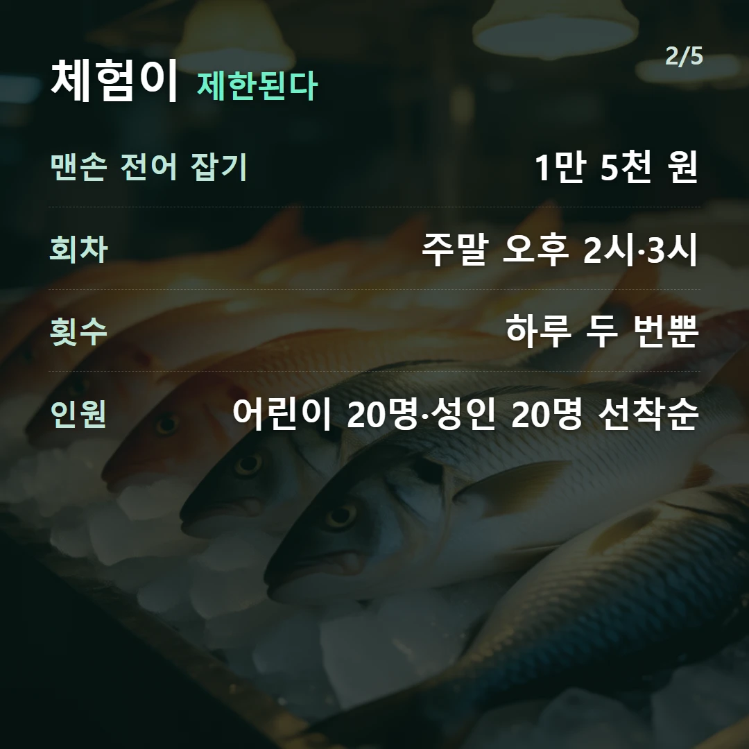 체험이 제한된다 — 맨손 전어 잡기 1만 5천 원, 회차 주말 오후 2시·3시, 횟수 하루 두 번뿐, 인원 어린이 20명·성인 20명 선착순