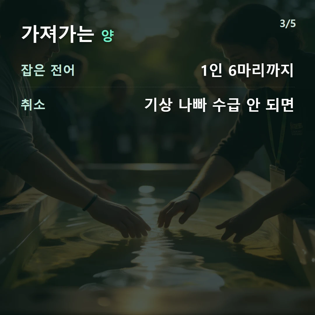 가져가는 양 — 잡은 전어 1인 6마리까지, 취소 기상 나빠 수급 안 되면