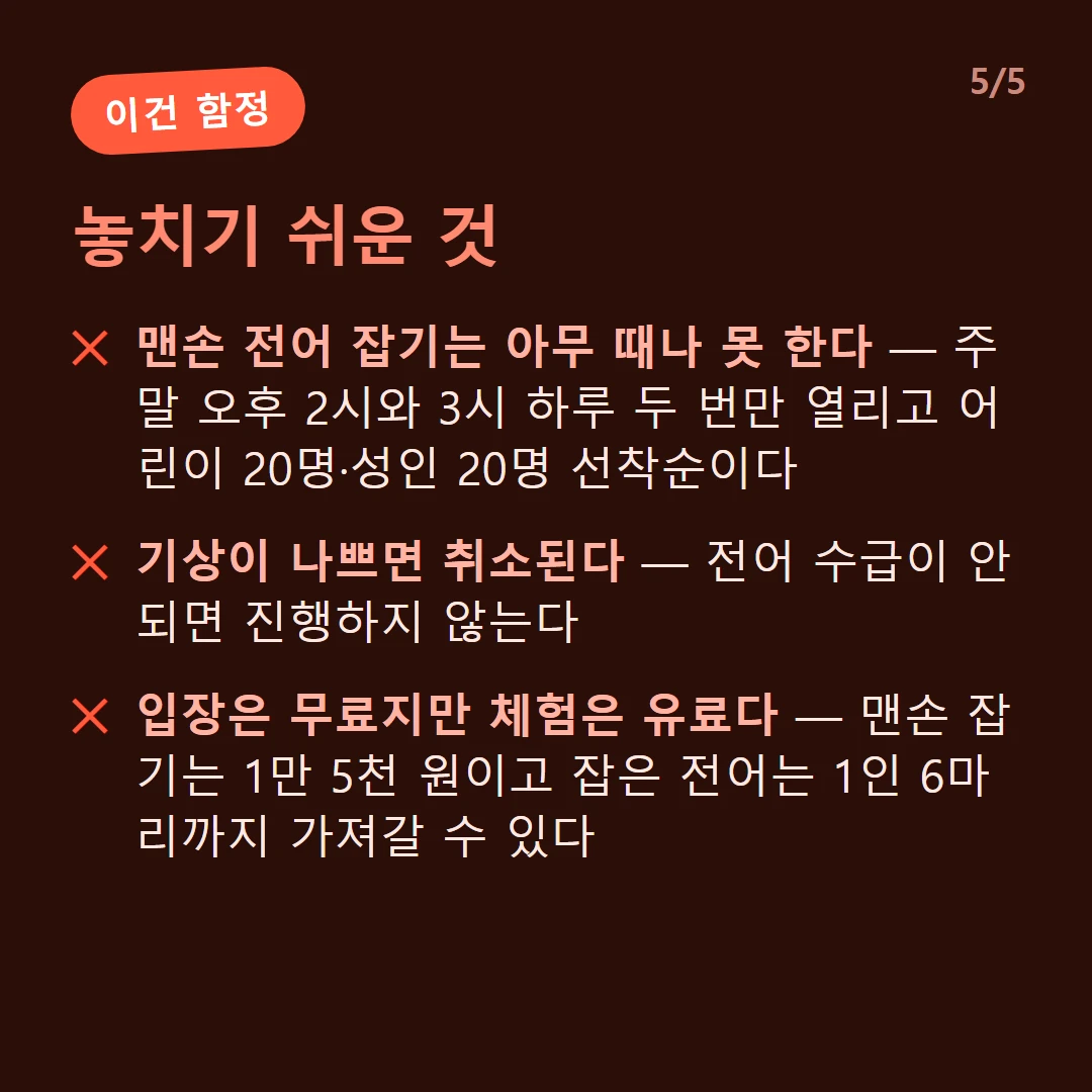 놓치기 쉬운 것 — 맨손 전어 잡기는 아무 때나 못 한다 — 주말 오후 2시와 3시 하루 두 번만 열리고 어린이 20명·성인 20명 선착순이다 / 기상이 나쁘면 취소된다 — 전어 수급이 안 되면 진행하지 않는다 / 입장은 무료지만 체험은 유료다 — 맨손 잡기는 1만 5천 원이고 잡은 전어는 1인 6마리까지 가져갈 수 있다
