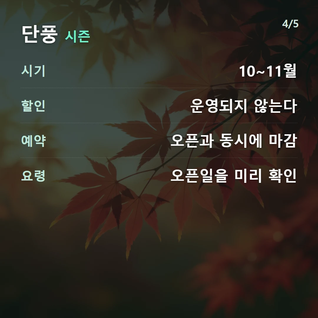 단풍 시즌 — 시기 10~11월, 할인 운영되지 않는다, 예약 오픈과 동시에 마감, 요령 오픈일을 미리 확인
