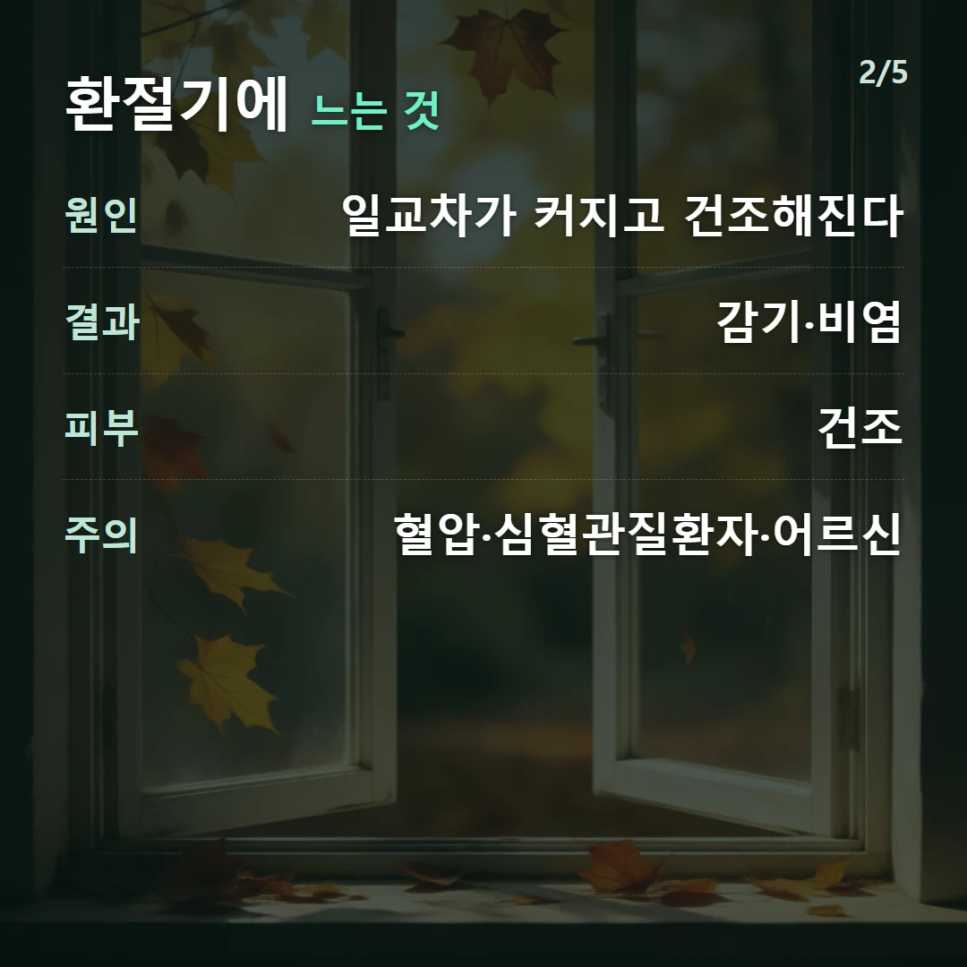 환절기에 느는 것 — 원인 일교차가 커지고 건조해진다, 결과 감기·비염, 피부 건조, 주의 혈압·심혈관질환자·어르신