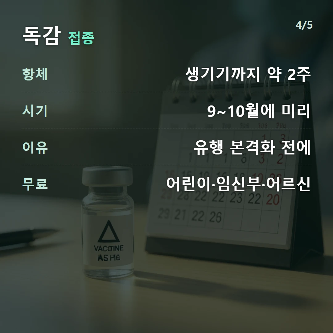 독감 접종 — 항체 생기기까지 약 2주, 시기 9~10월에 미리, 이유 유행 본격화 전에, 무료 어린이·임신부·어르신