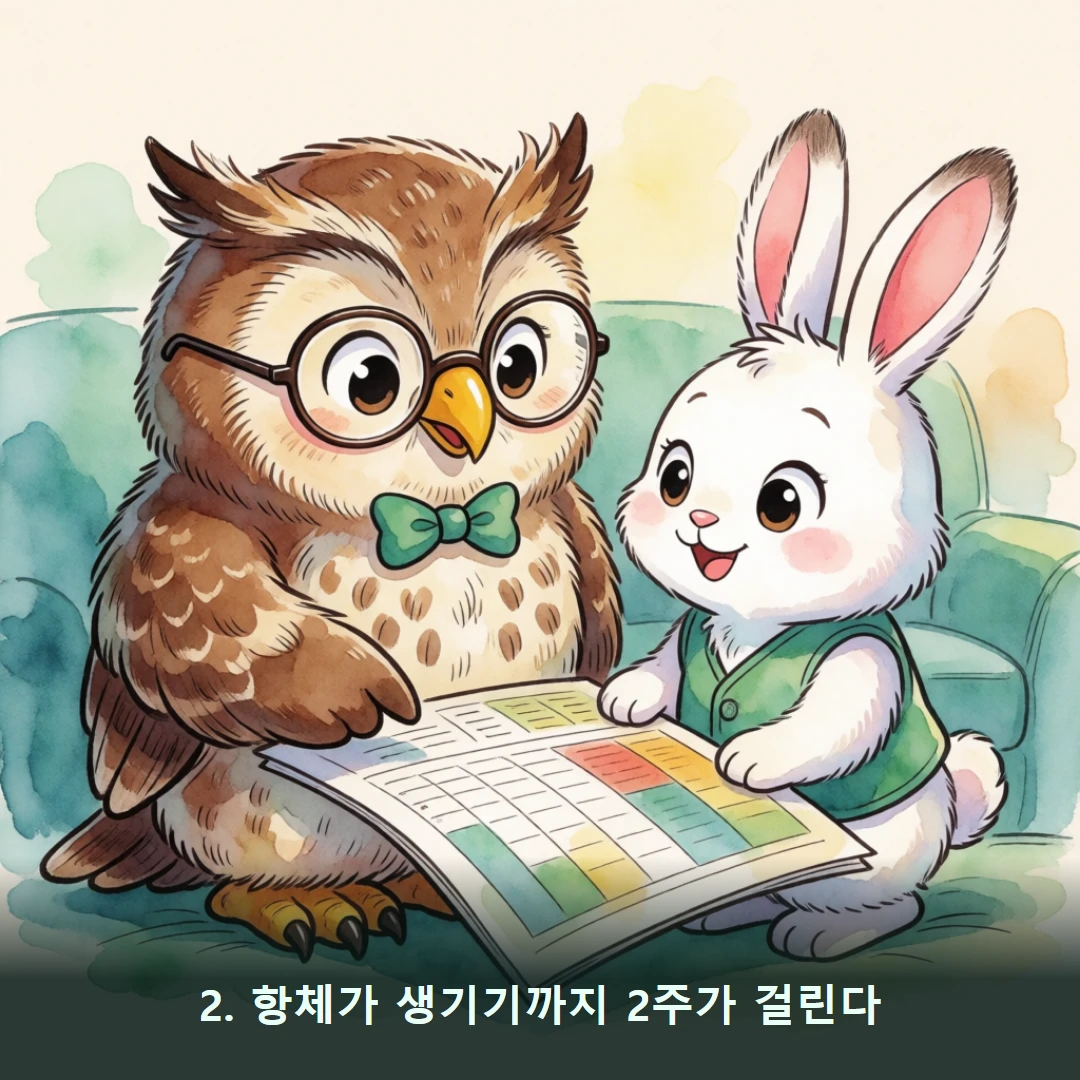 웹툰 2컷 — 2. 항체가 생기기까지 2주가 걸린다