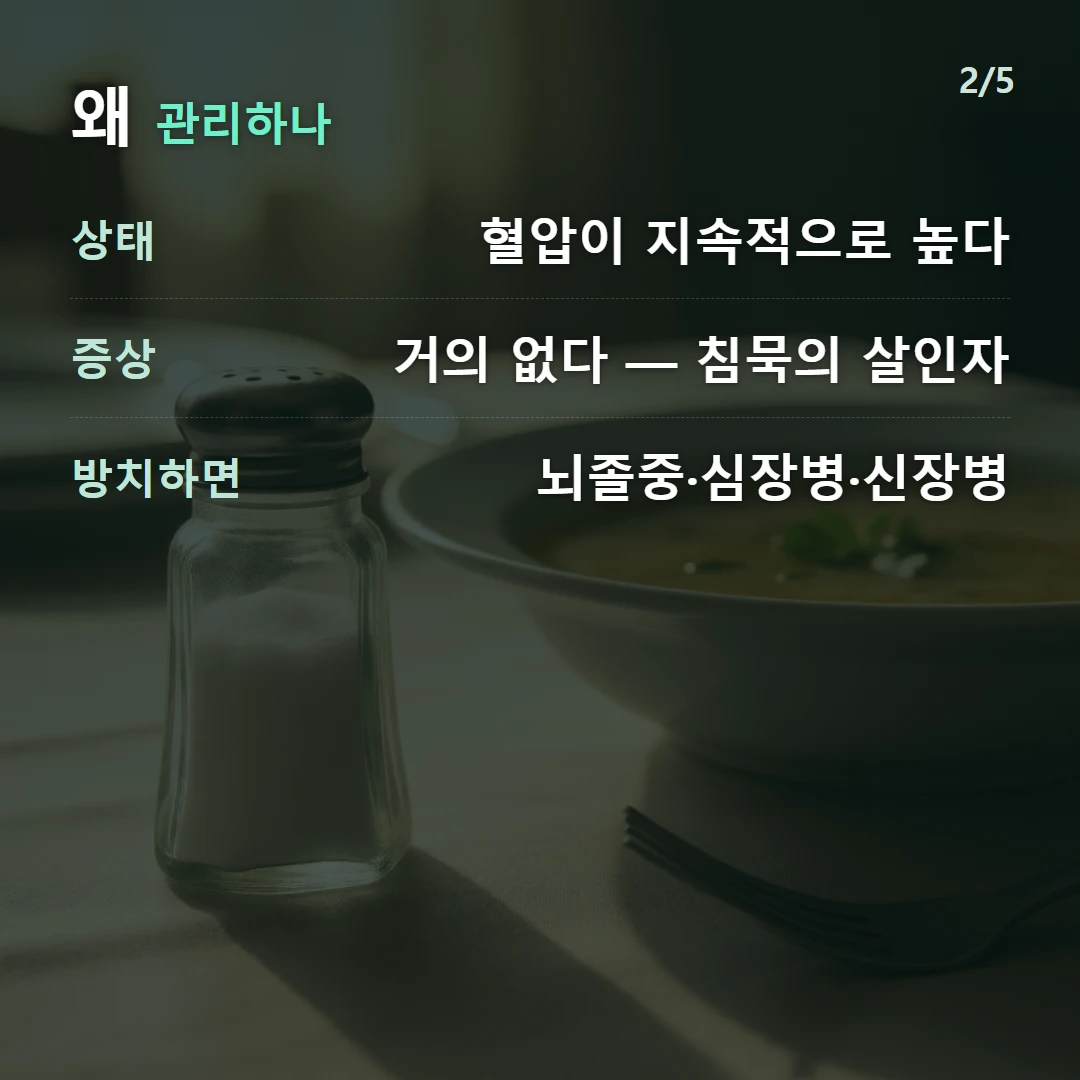왜 관리하나 — 상태 혈압이 지속적으로 높다, 증상 거의 없다 — 침묵의 살인자, 방치하면 뇌졸중·심장병·신장병