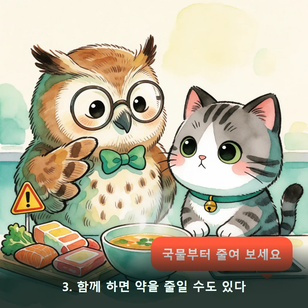 웹툰 3컷 — 3. 함께 하면 약을 줄일 수도 있다 (국물부터 줄여 보세요)