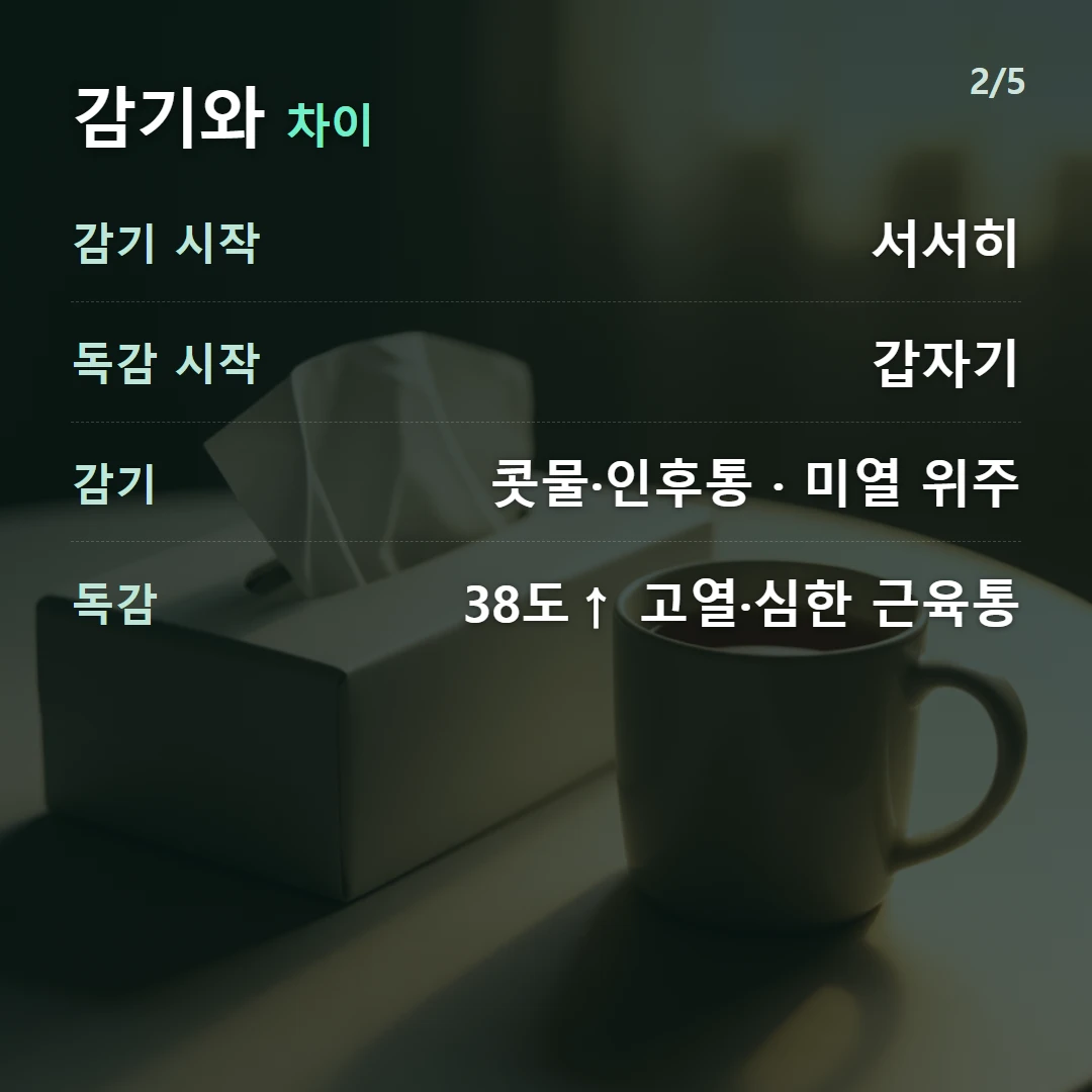 감기와 차이 — 감기 시작 서서히, 독감 시작 갑자기, 감기 콧물·인후통 · 미열 위주, 독감 38도↑ 고열·심한 근육통