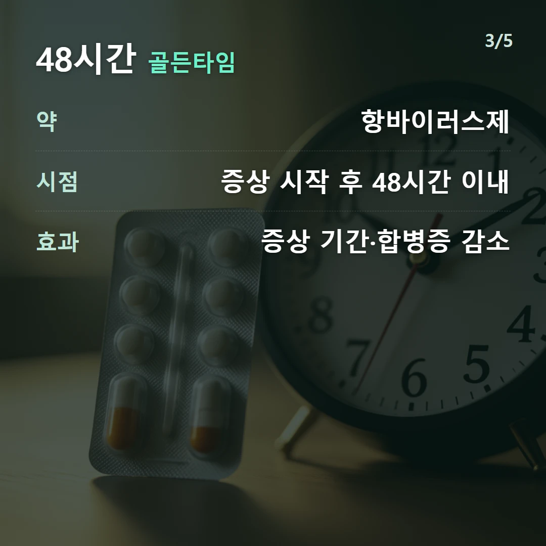 48시간 골든타임 — 약 항바이러스제, 시점 증상 시작 후 48시간 이내, 효과 증상 기간·합병증 감소