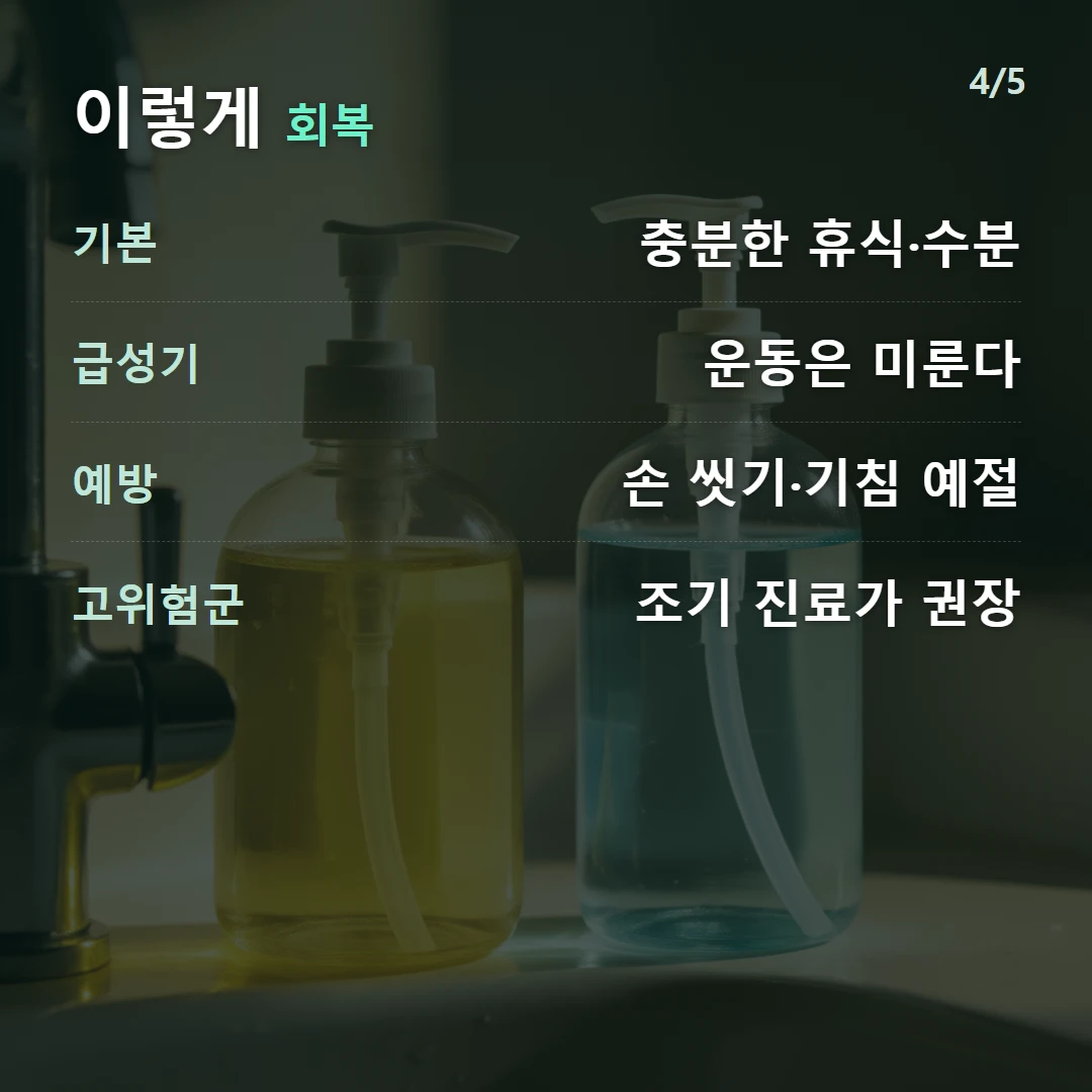 이렇게 회복 — 기본 충분한 휴식·수분, 급성기 운동은 미룬다, 예방 손 씻기·기침 예절, 고위험군 조기 진료가 권장