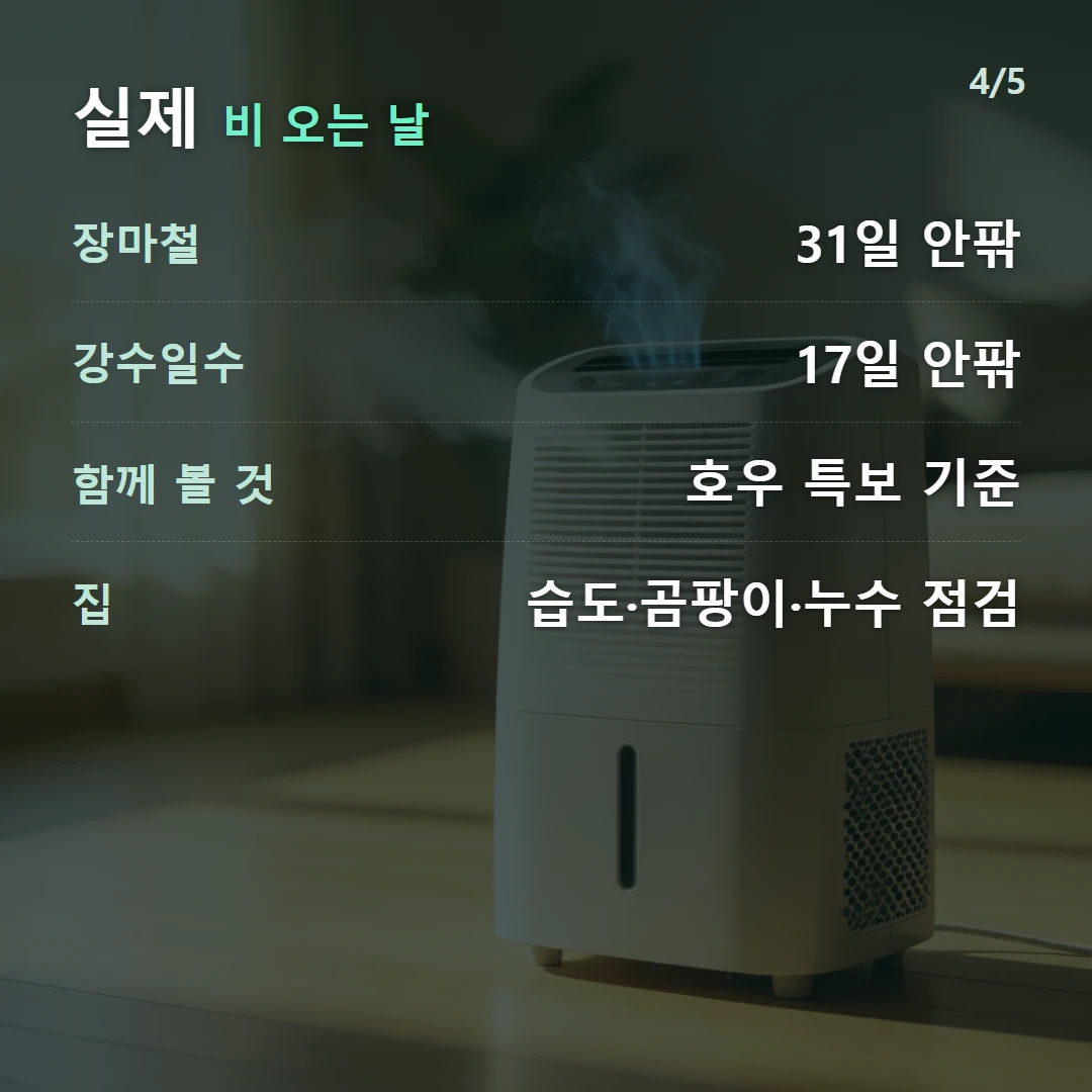 실제 비 오는 날 — 장마철 31일 안팎, 강수일수 17일 안팎, 함께 볼 것 호우 특보 기준, 집 습도·곰팡이·누수 점검