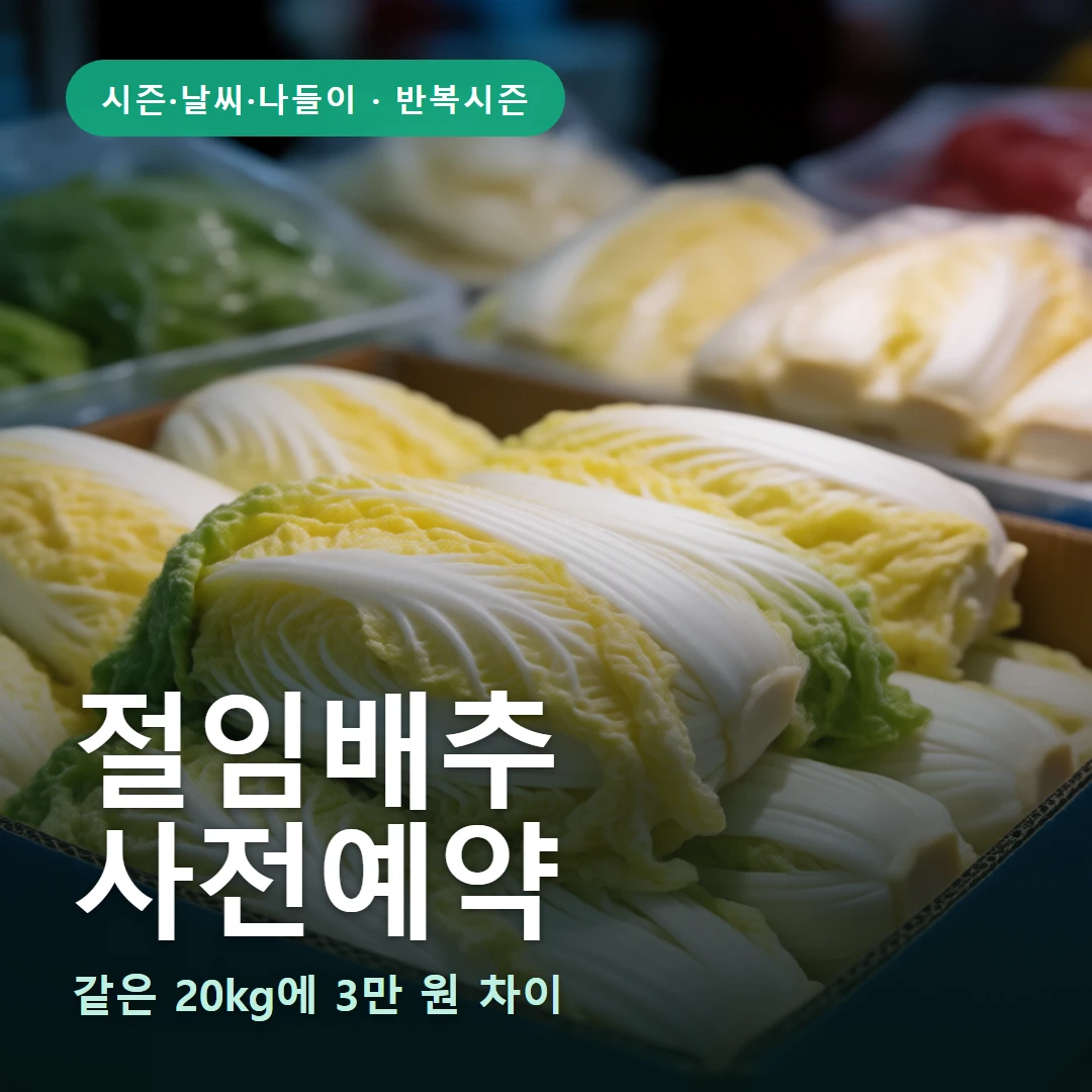 절임배추 요약 표지 — 같은 20kg에 3만 원 차이