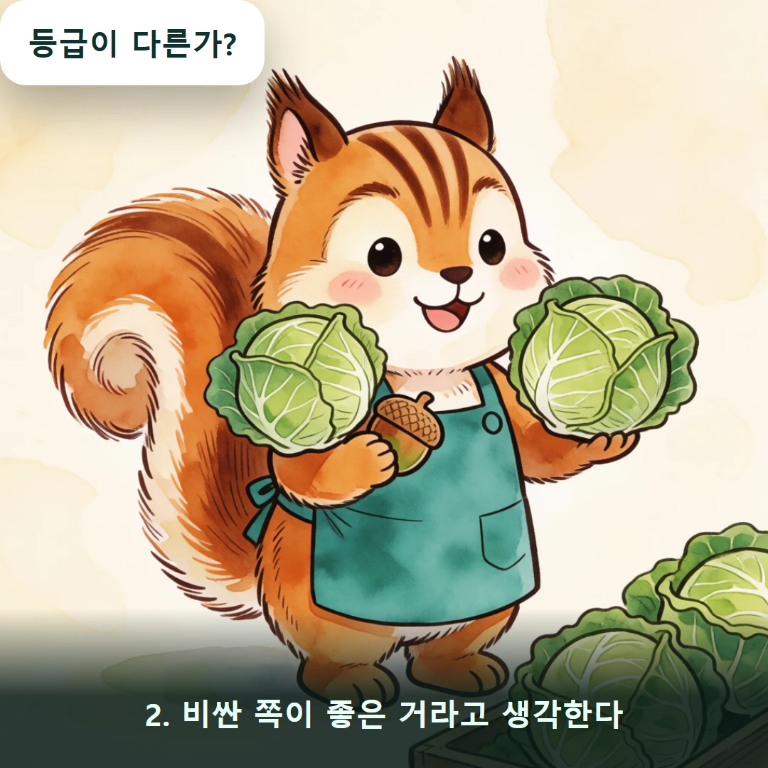 웹툰 2컷 — 2. 비싼 쪽이 좋은 거라고 생각한다 (등급이 다른가?)