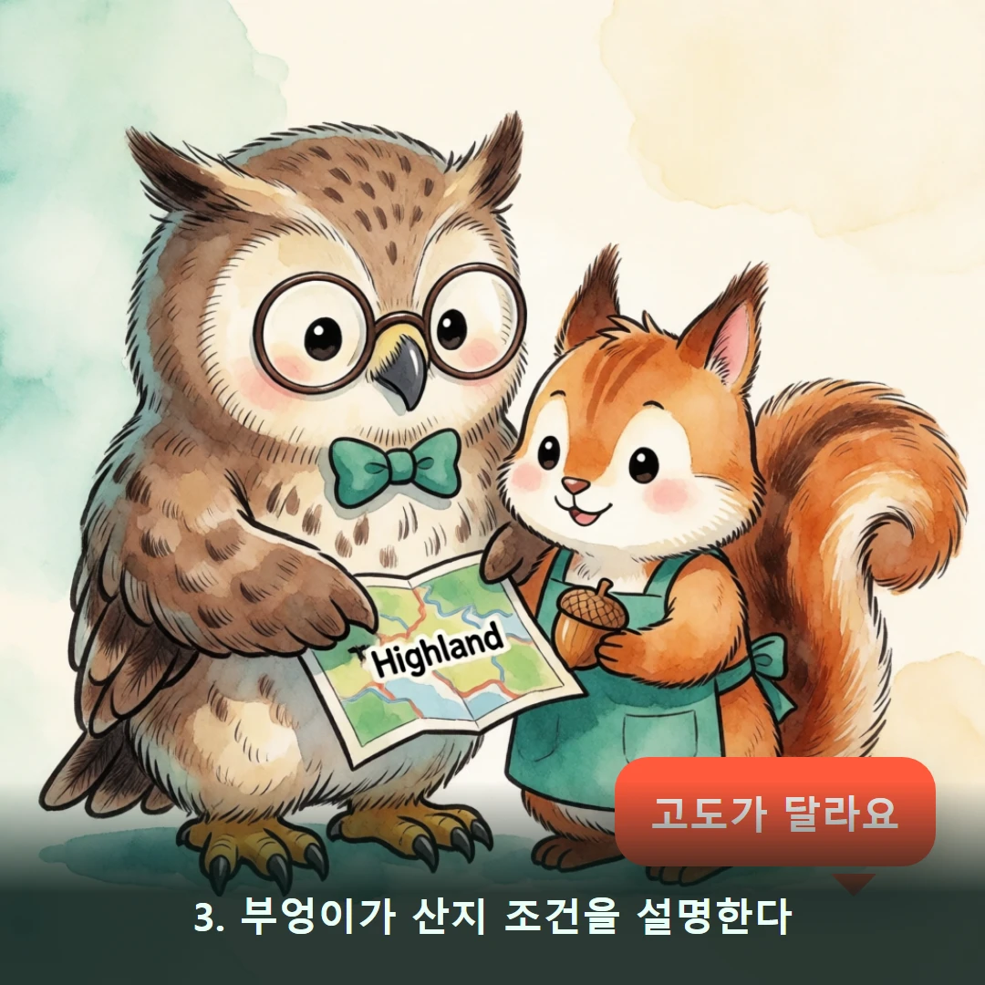 웹툰 3컷 — 3. 부엉이가 산지 조건을 설명한다 (고도가 달라요)