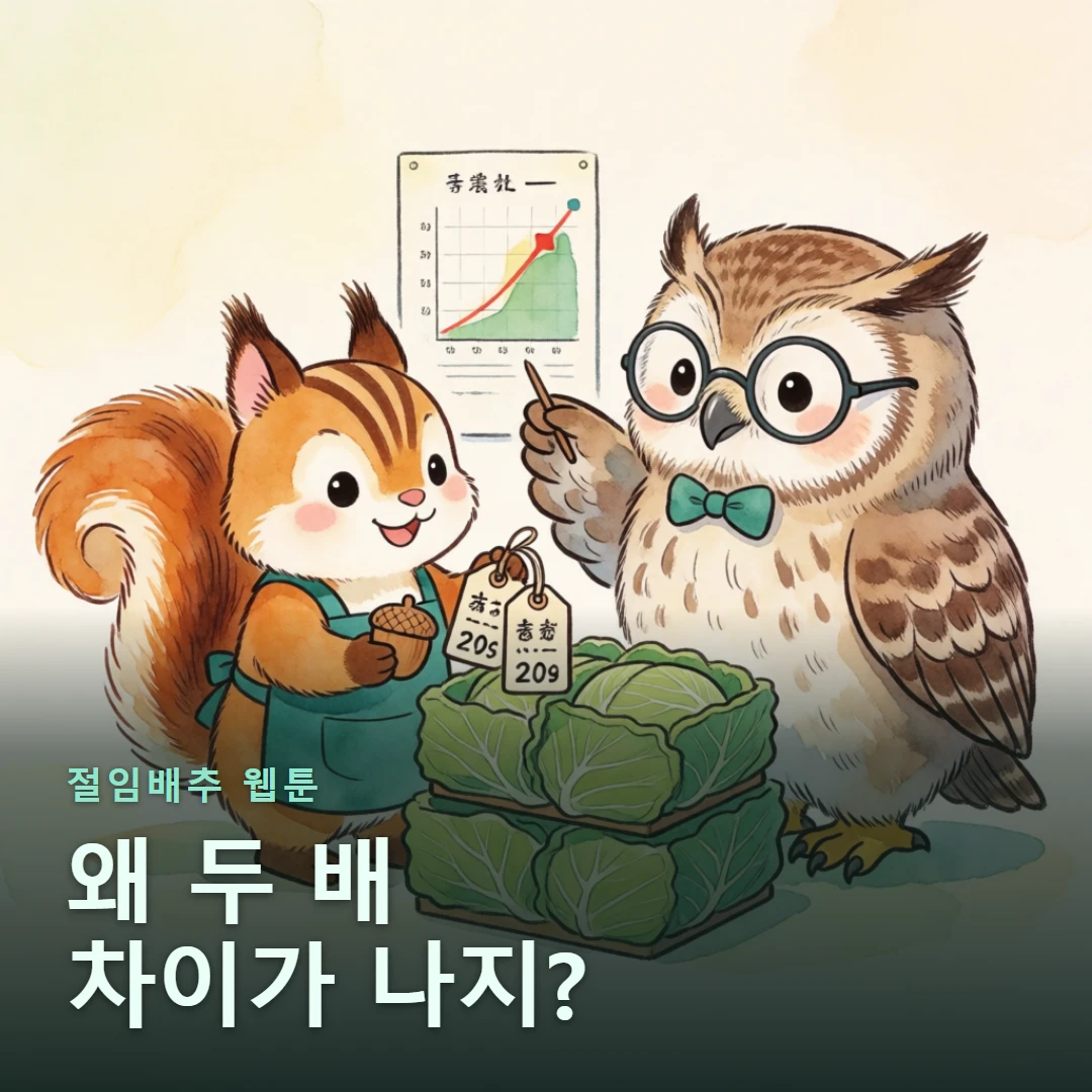 절임배추 웹툰 표지 — 왜 두 배 차이가 나지?