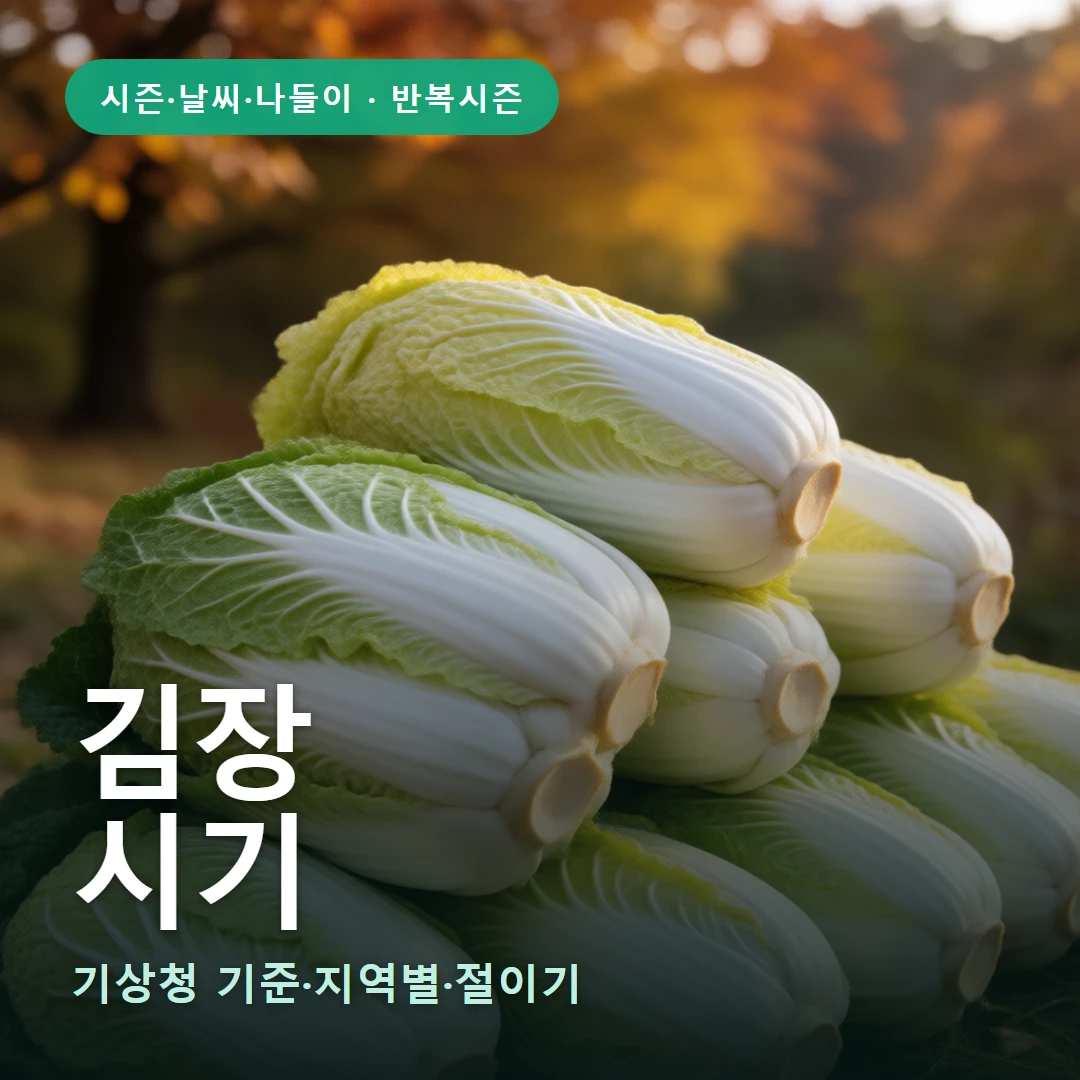 김장 요약 표지 — 기상청 기준·지역별·절이기