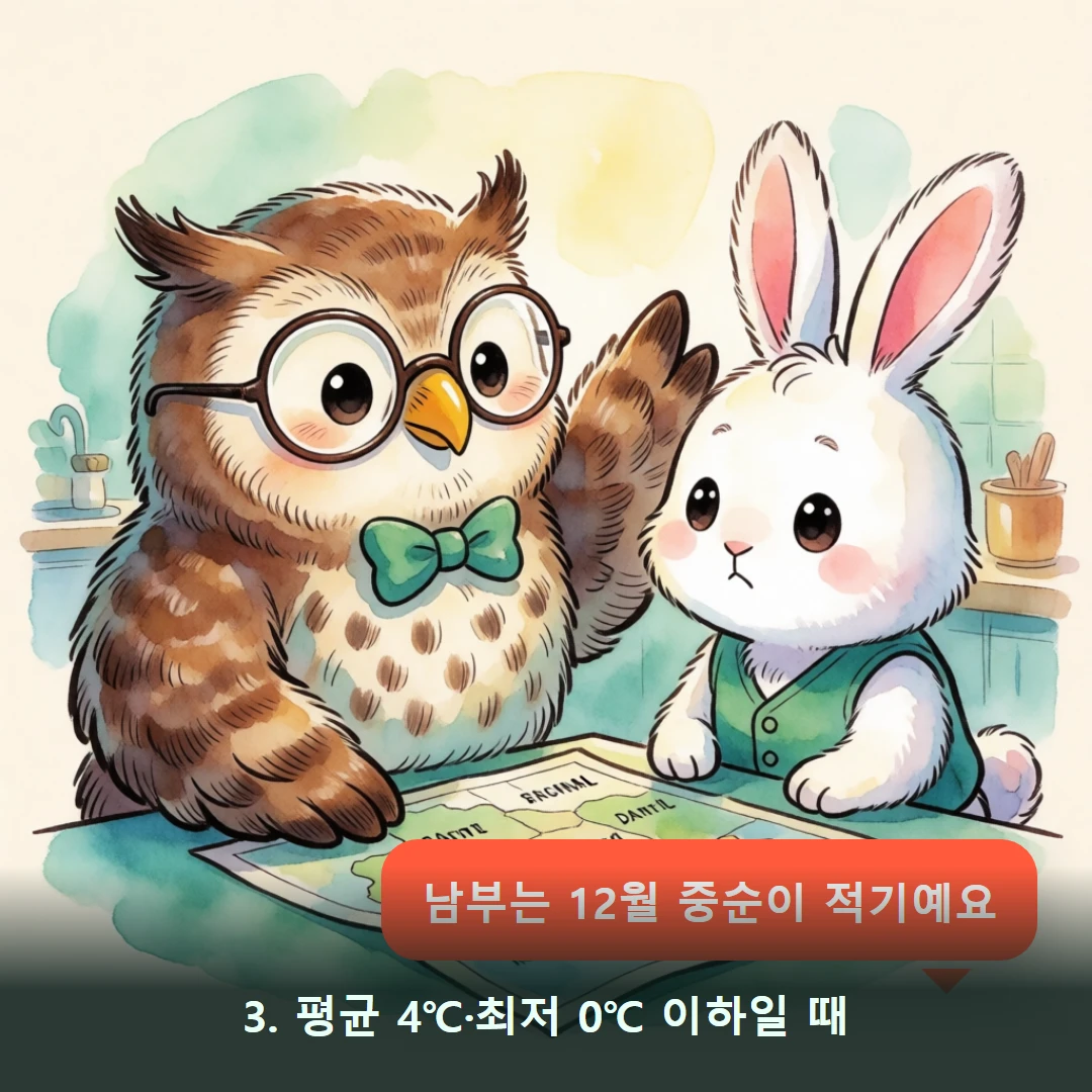 웹툰 3컷 — 3. 평균 4℃·최저 0℃ 이하일 때 (남부는 12월 중순이 적기예요)