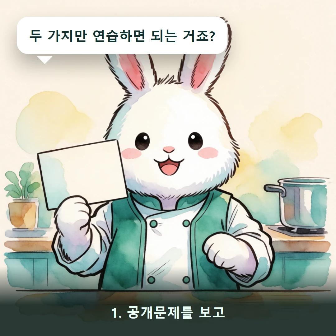 웹툰 1컷 — 1. 공개문제를 보고 (두 가지만 연습하면 되는 거죠?)