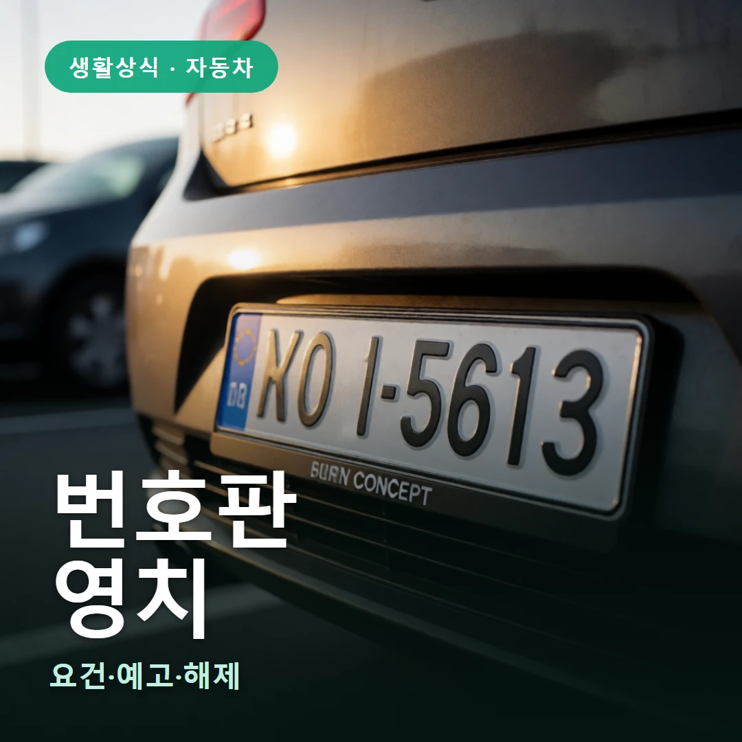 번호판 요약 표지 — 요건·예고·해제