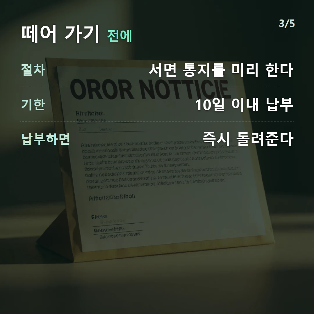 떼어 가기 전에 — 절차 서면 통지를 미리 한다, 기한 10일 이내 납부, 납부하면 즉시 돌려준다