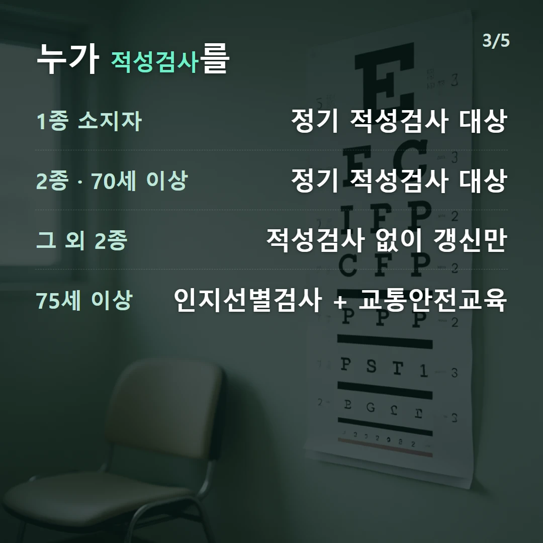 누가 적성검사를 — 1종 소지자 정기 적성검사 대상, 2종 · 70세 이상 정기 적성검사 대상, 그 외 2종 적성검사 없이 갱신만, 75세 이상 인지선별검사 + 교통안전교육