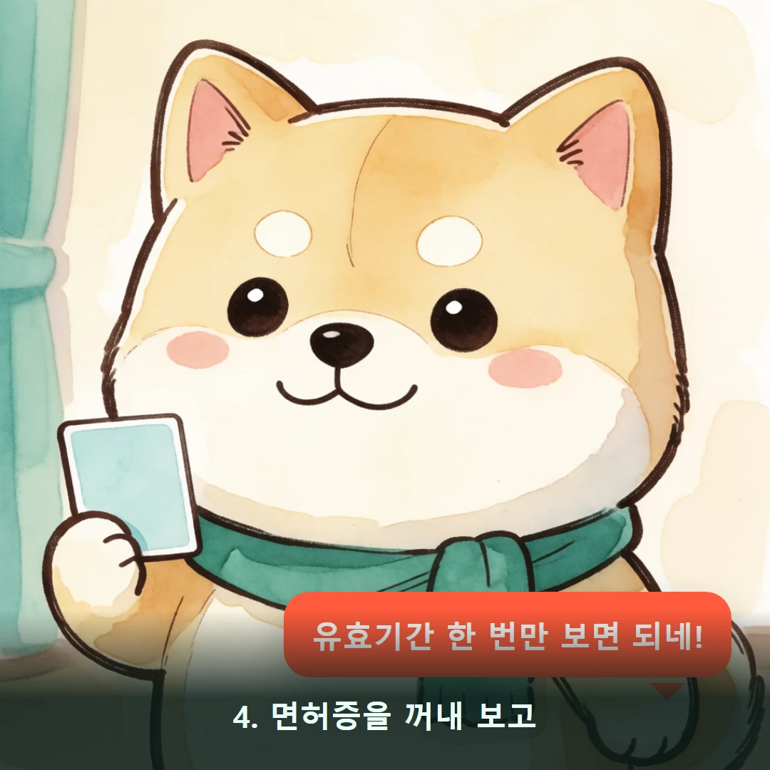 웹툰 4컷 — 4. 면허증을 꺼내 보고 (유효기간 한 번만 보면 되네!)