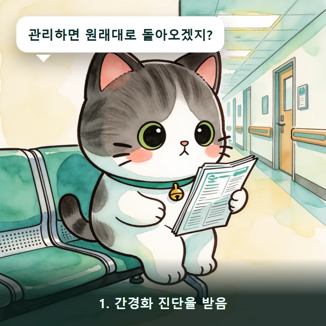 웹툰 1컷 — 1. 간경화 진단을 받음 (관리하면 원래대로 돌아오겠지?)