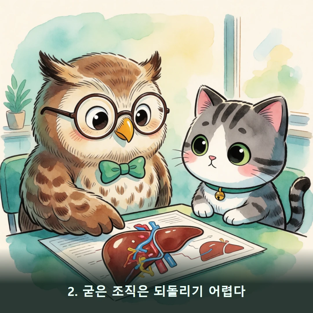 웹툰 2컷 — 2. 굳은 조직은 되돌리기 어렵다