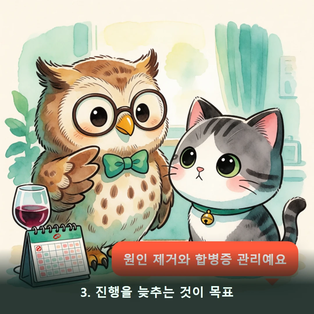 웹툰 3컷 — 3. 진행을 늦추는 것이 목표 (원인 제거와 합병증 관리예요)