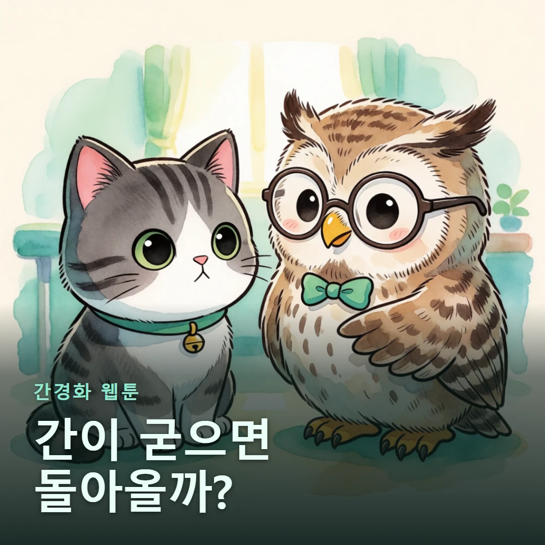 간경화 웹툰 표지 — 간이 굳으면 돌아올까?