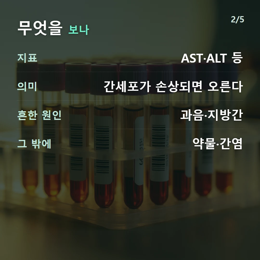 무엇을 보나 — 지표 AST·ALT 등, 의미 간세포가 손상되면 오른다, 흔한 원인 과음·지방간, 그 밖에 약물·간염