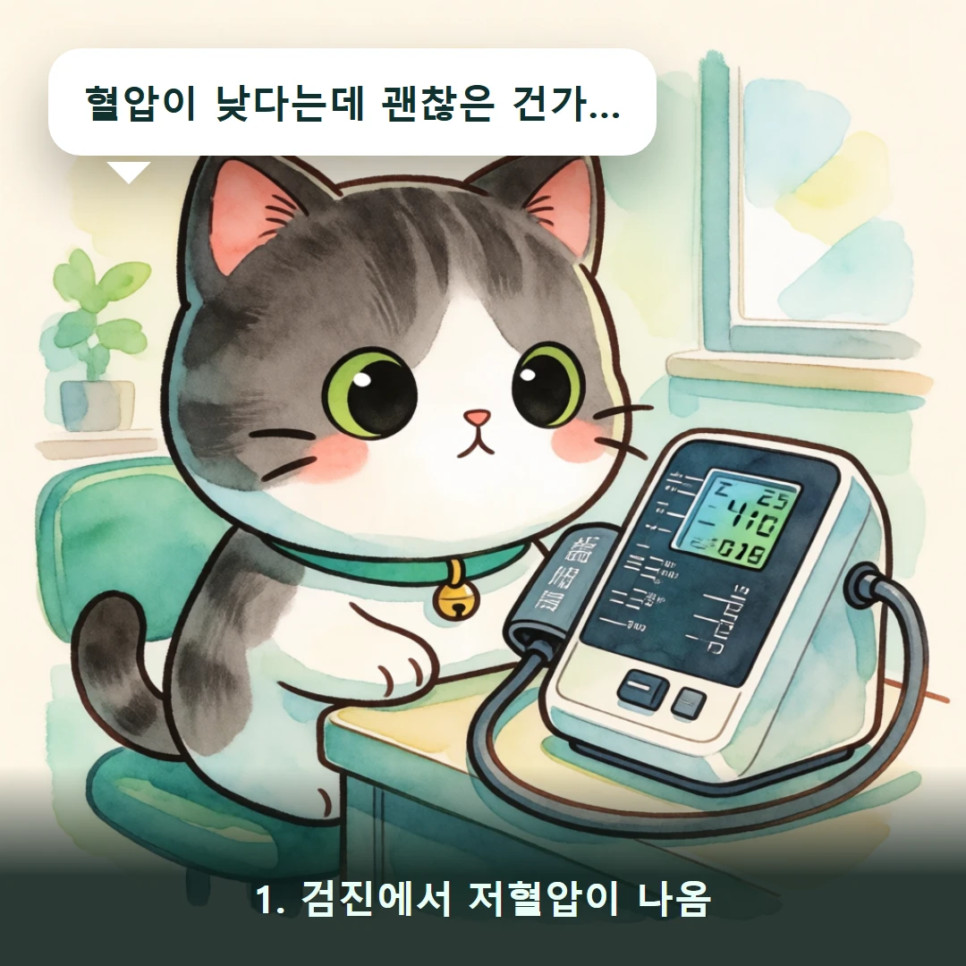 웹툰 1컷 — 1. 검진에서 저혈압이 나옴 (혈압이 낮다는데 괜찮은 건가…)