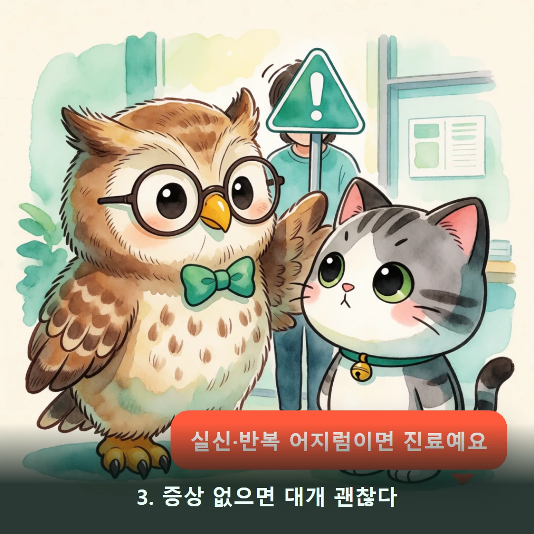 웹툰 3컷 — 3. 증상 없으면 대개 괜찮다 (실신·반복 어지럼이면 진료예요)
