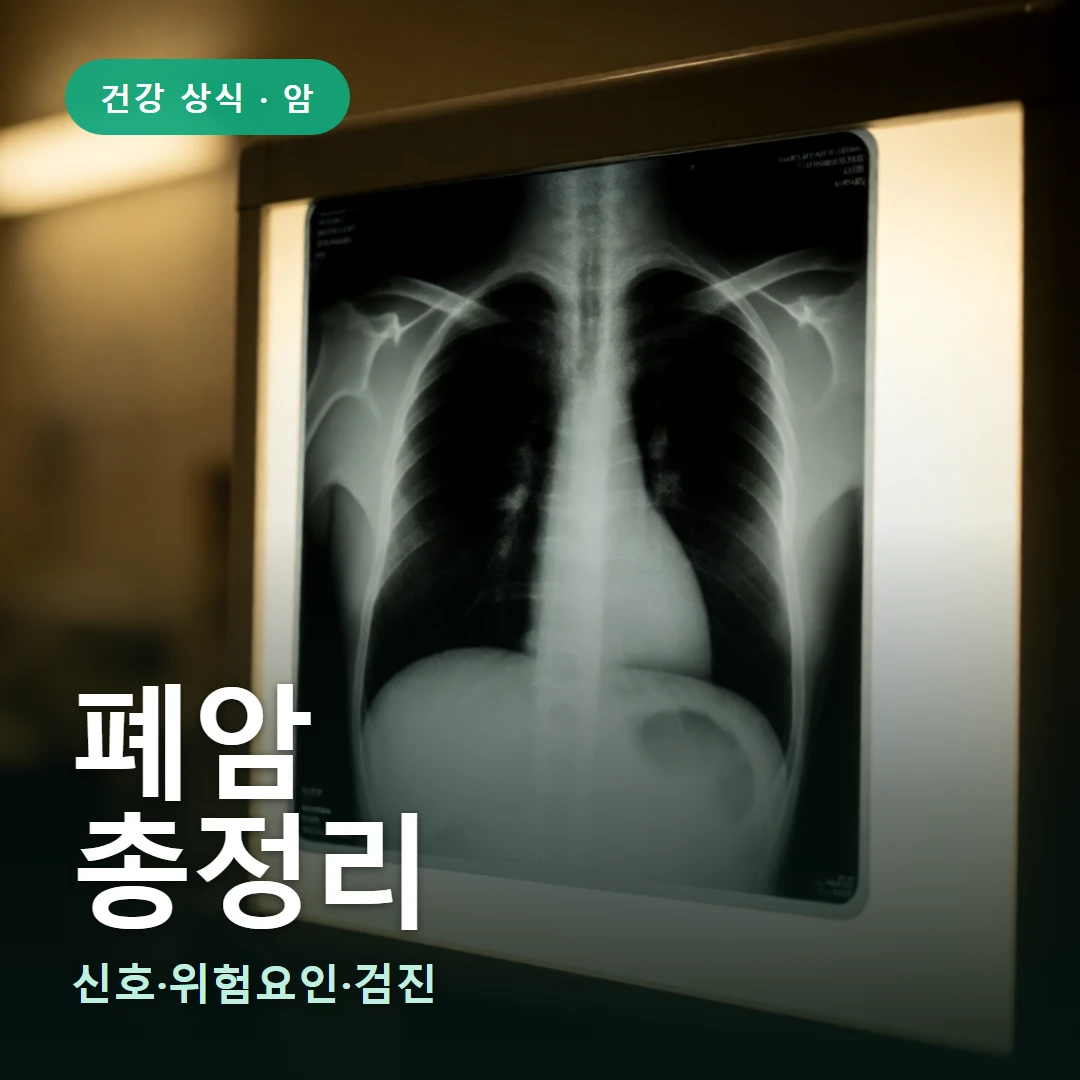 폐암 요약 표지 — 신호·위험요인·검진