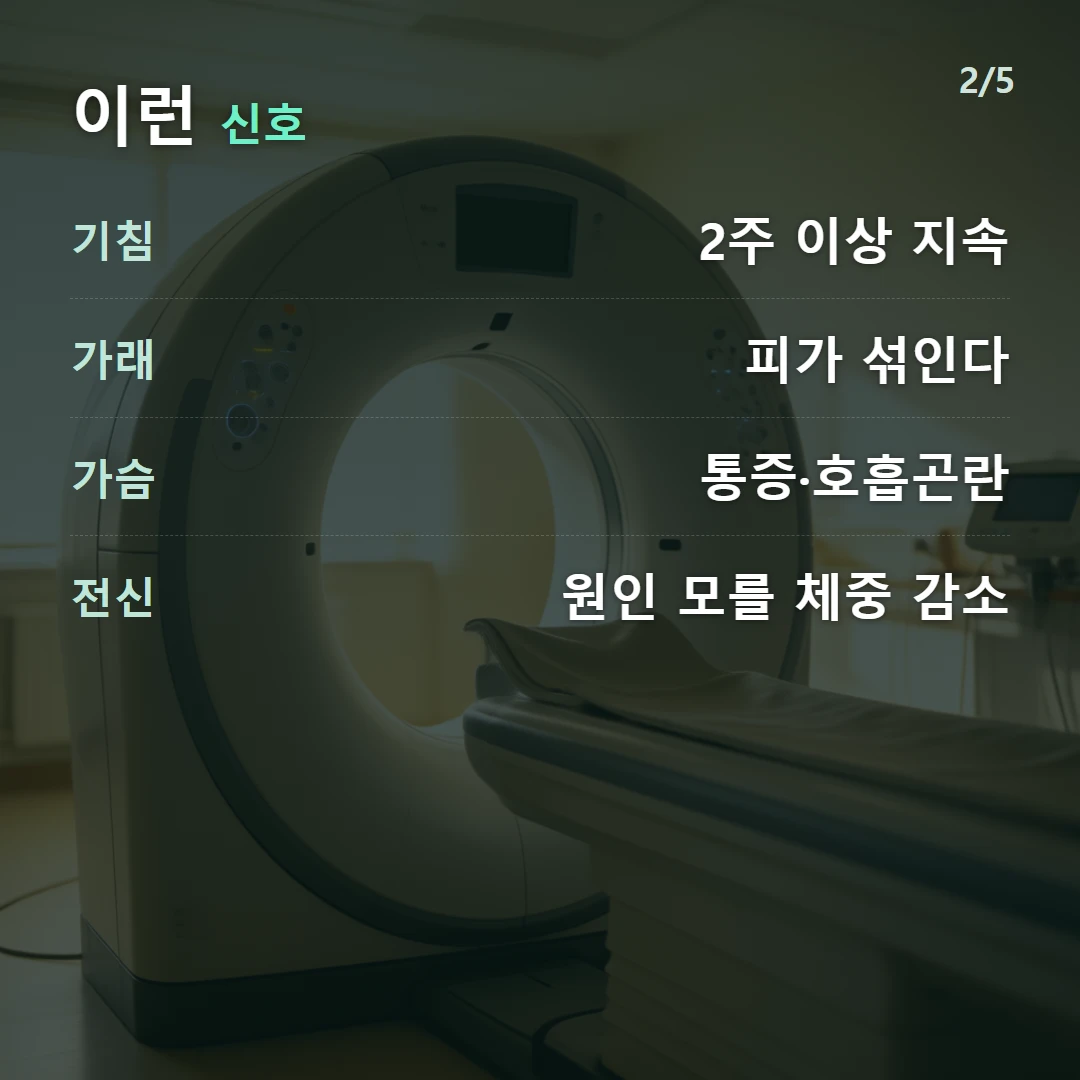 이런 신호 — 기침 2주 이상 지속, 가래 피가 섞인다, 가슴 통증·호흡곤란, 전신 원인 모를 체중 감소