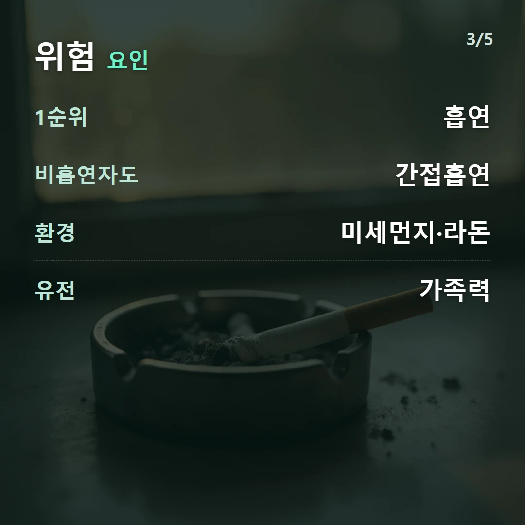 위험 요인 — 1순위 흡연, 비흡연자도 간접흡연, 환경 미세먼지·라돈, 유전 가족력