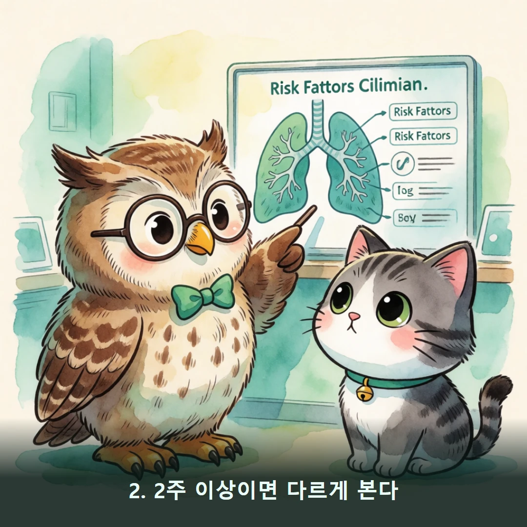 웹툰 2컷 — 2. 2주 이상이면 다르게 본다