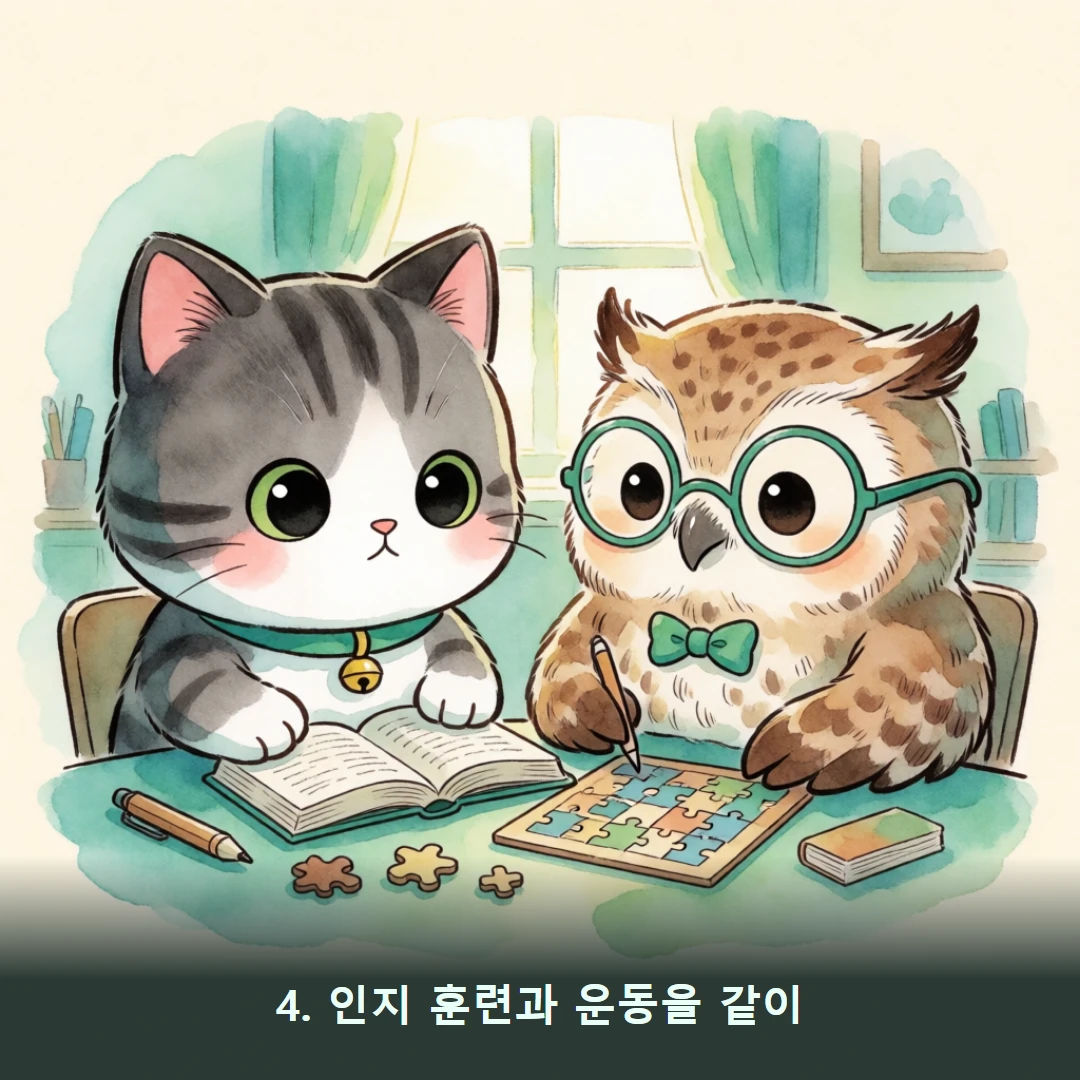 웹툰 4컷 — 4. 인지 훈련과 운동을 같이