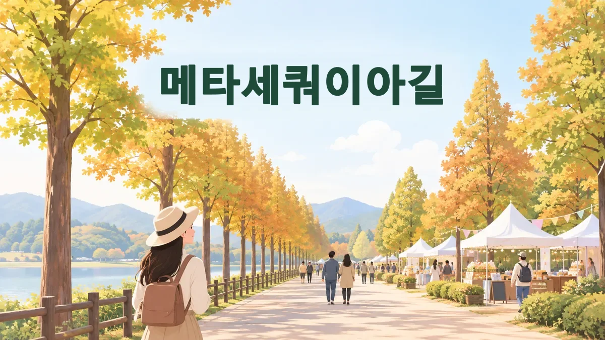 메타세쿼이아길 — 담양만 유료 2,000원인데 올해부터 상품권으로 돌려줍니다