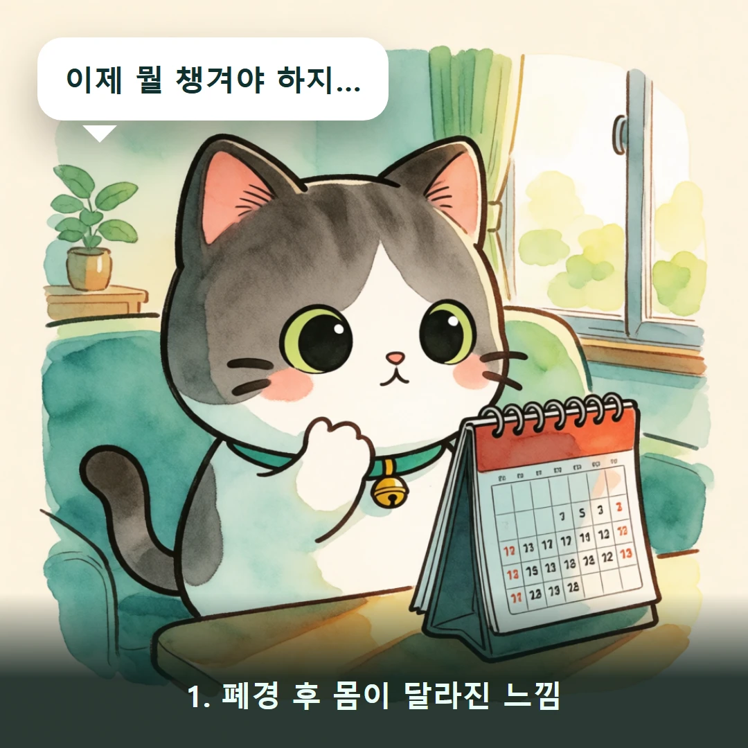 웹툰 1컷 — 1. 폐경 후 몸이 달라진 느낌 (이제 뭘 챙겨야 하지…)