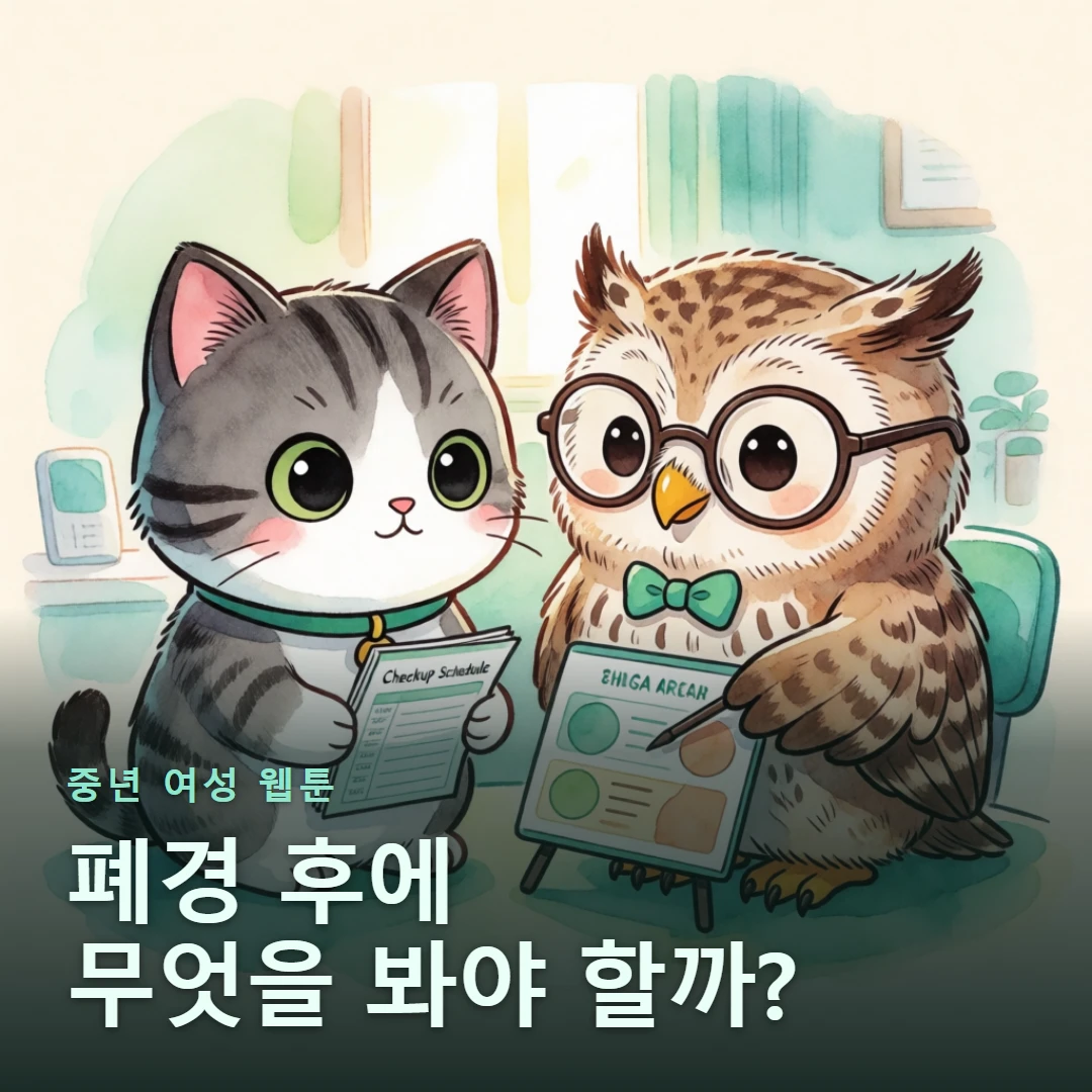 중년 여성 웹툰 표지 — 폐경 후에 무엇을 봐야 할까?