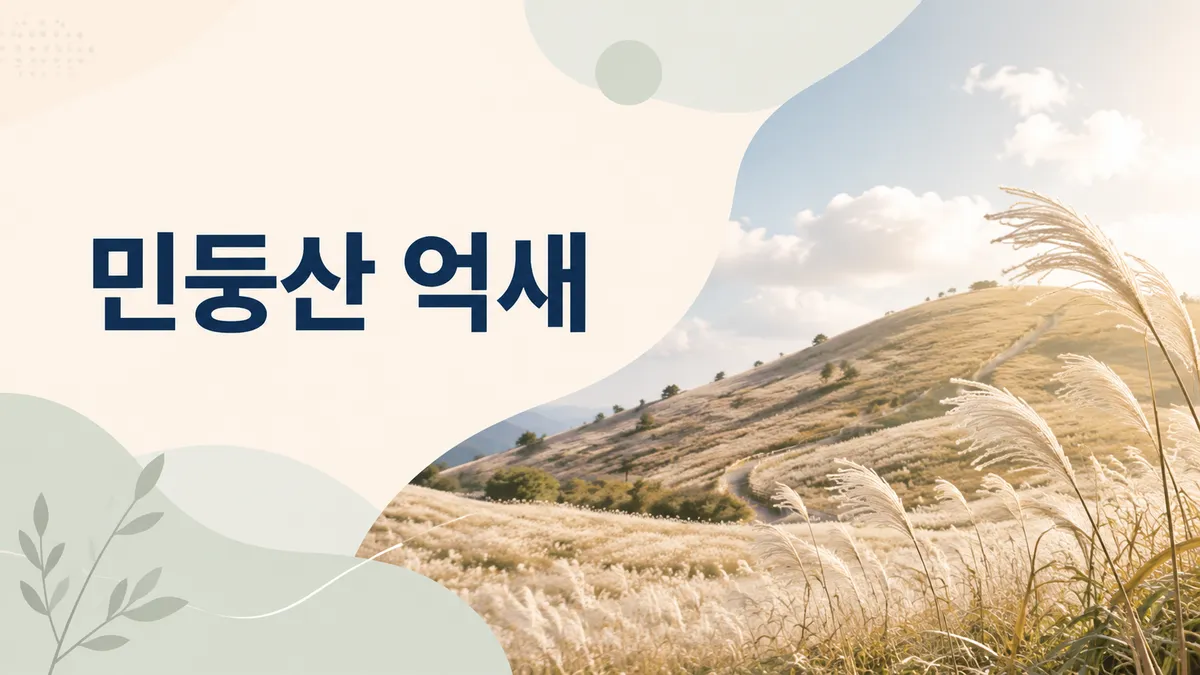 민둥산 억새 — 발구덕까지 차가 못 올라갑니다
