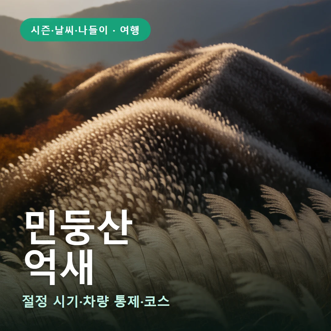 민둥산 요약 표지 — 절정 시기·차량 통제·코스