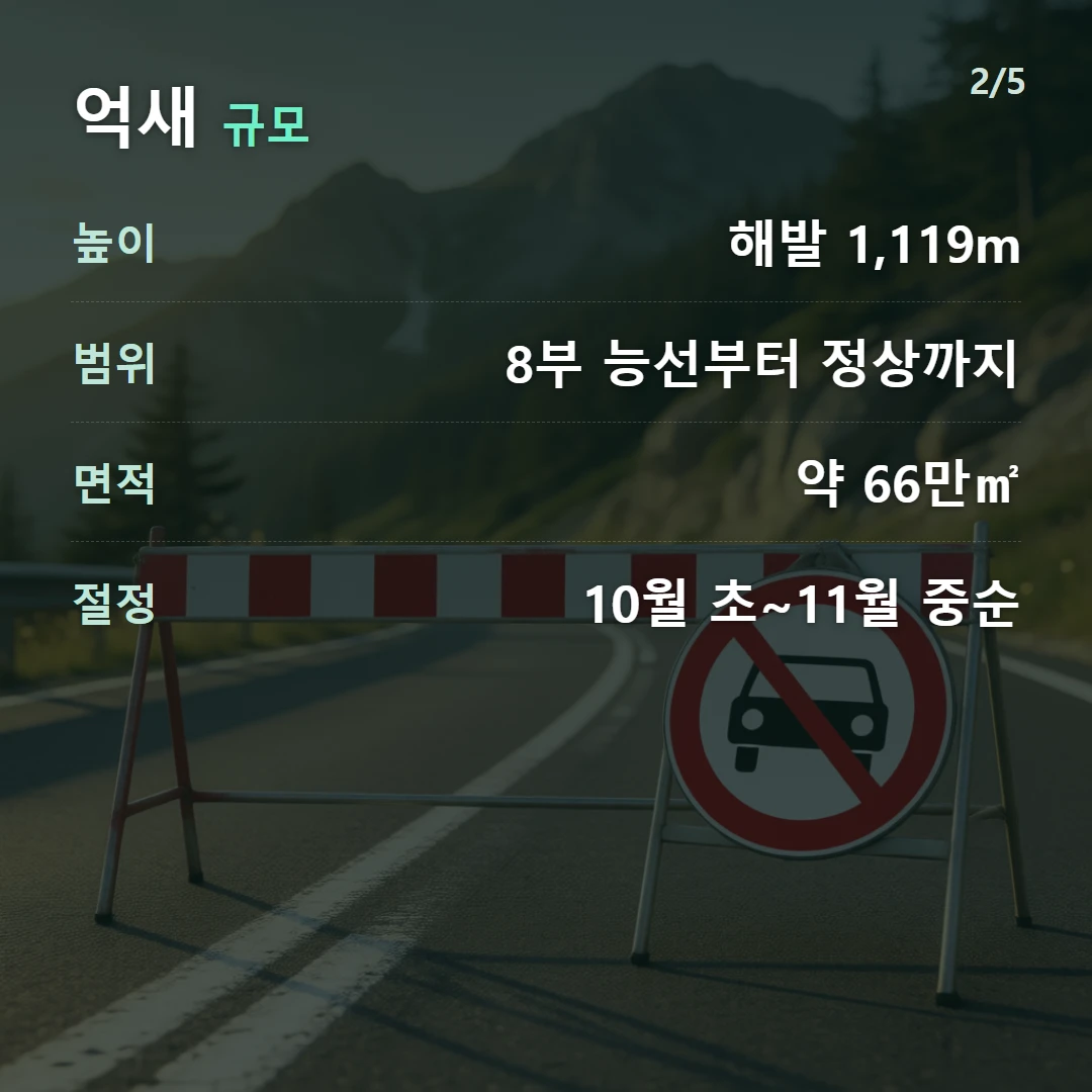 억새 규모 — 높이 해발 1,119m, 범위 8부 능선부터 정상까지, 면적 약 66만㎡, 절정 10월 초~11월 중순