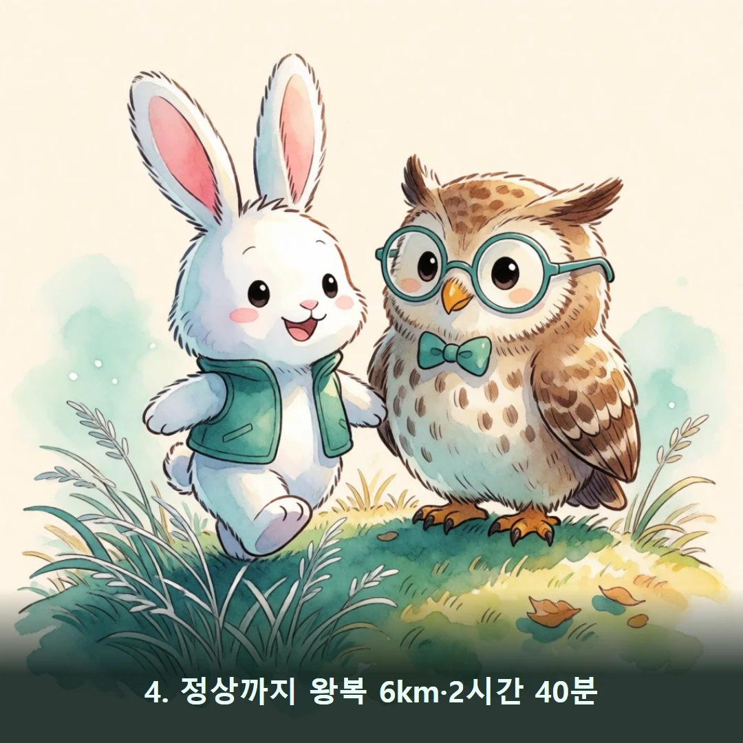 웹툰 4컷 — 4. 정상까지 왕복 6km·2시간 40분