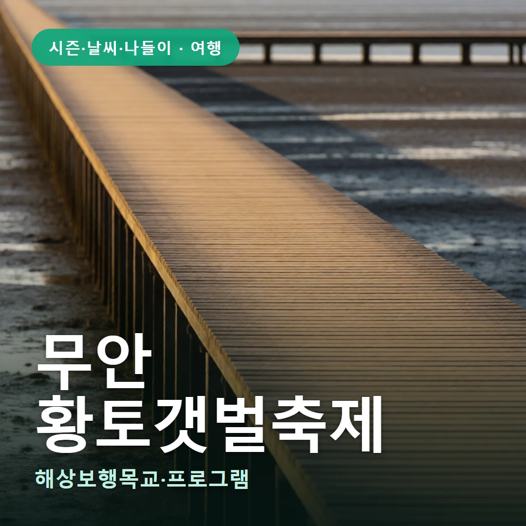 무안 요약 표지 — 해상보행목교·프로그램