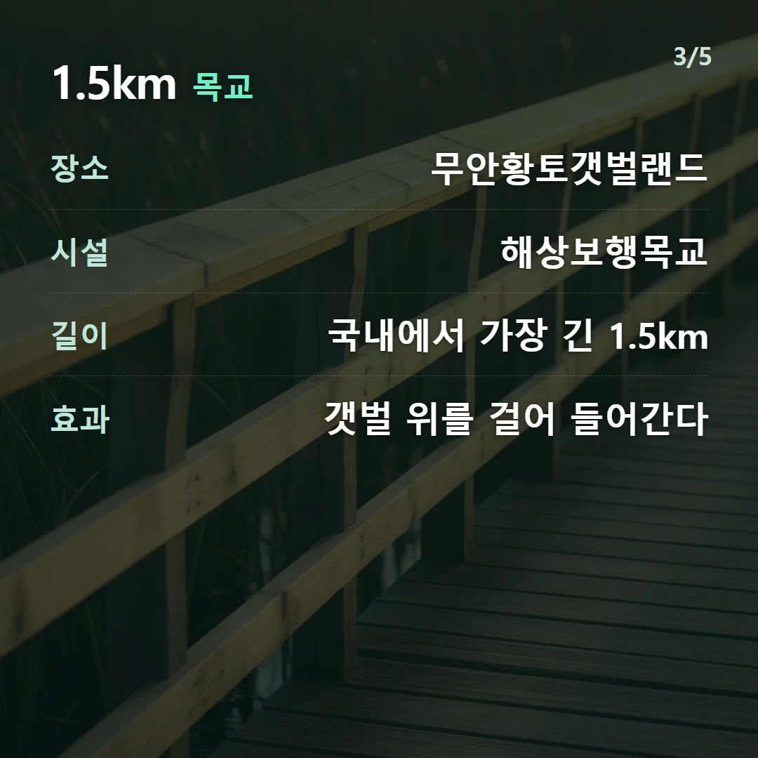 1.5km 목교 — 장소 무안황토갯벌랜드, 시설 해상보행목교, 길이 국내에서 가장 긴 1.5km, 효과 갯벌 위를 걸어 들어간다
