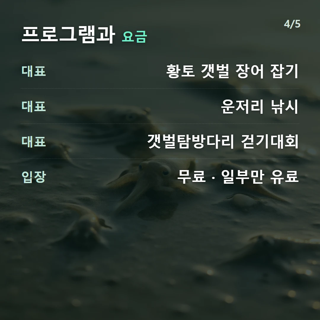 프로그램과 요금 — 대표 황토 갯벌 장어 잡기, 대표 운저리 낚시, 대표 갯벌탐방다리 걷기대회, 입장 무료 · 일부만 유료
