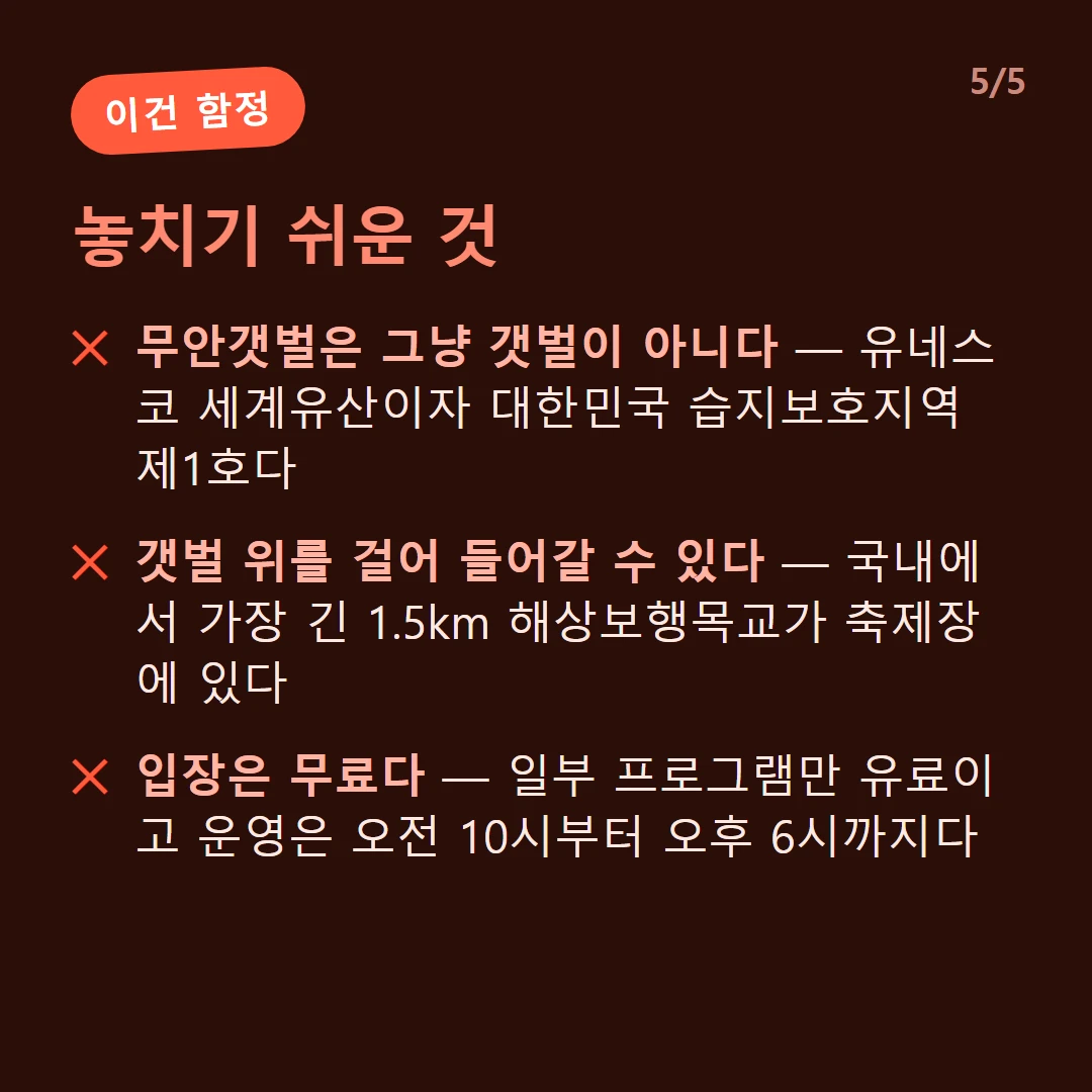 놓치기 쉬운 것 — 무안갯벌은 그냥 갯벌이 아니다 — 유네스코 세계유산이자 대한민국 습지보호지역 제1호다 / 갯벌 위를 걸어 들어갈 수 있다 — 국내에서 가장 긴 1.5km 해상보행목교가 축제장에 있다 / 입장은 무료다 — 일부 프로그램만 유료이고 운영은 오전 10시부터 오후 6시까지다